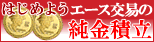 �G�[�X����03