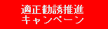 �K�����U���i�L�����y�[��